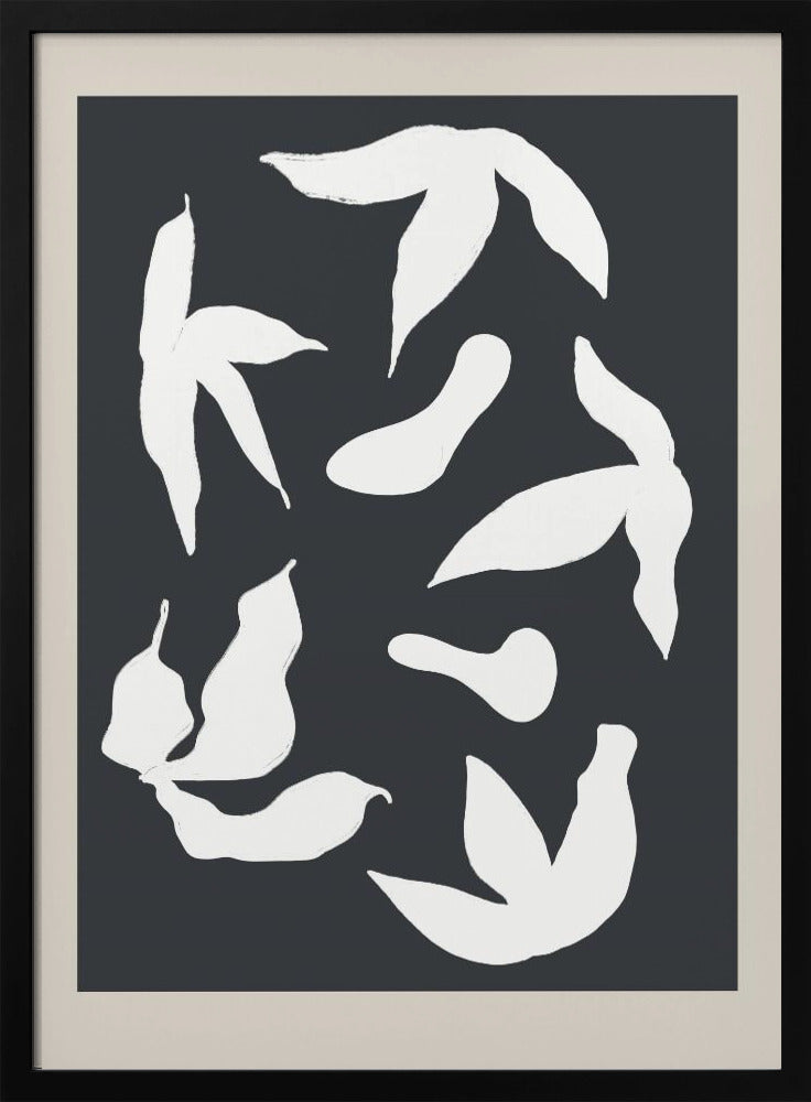 Scandilineno11 | Poster