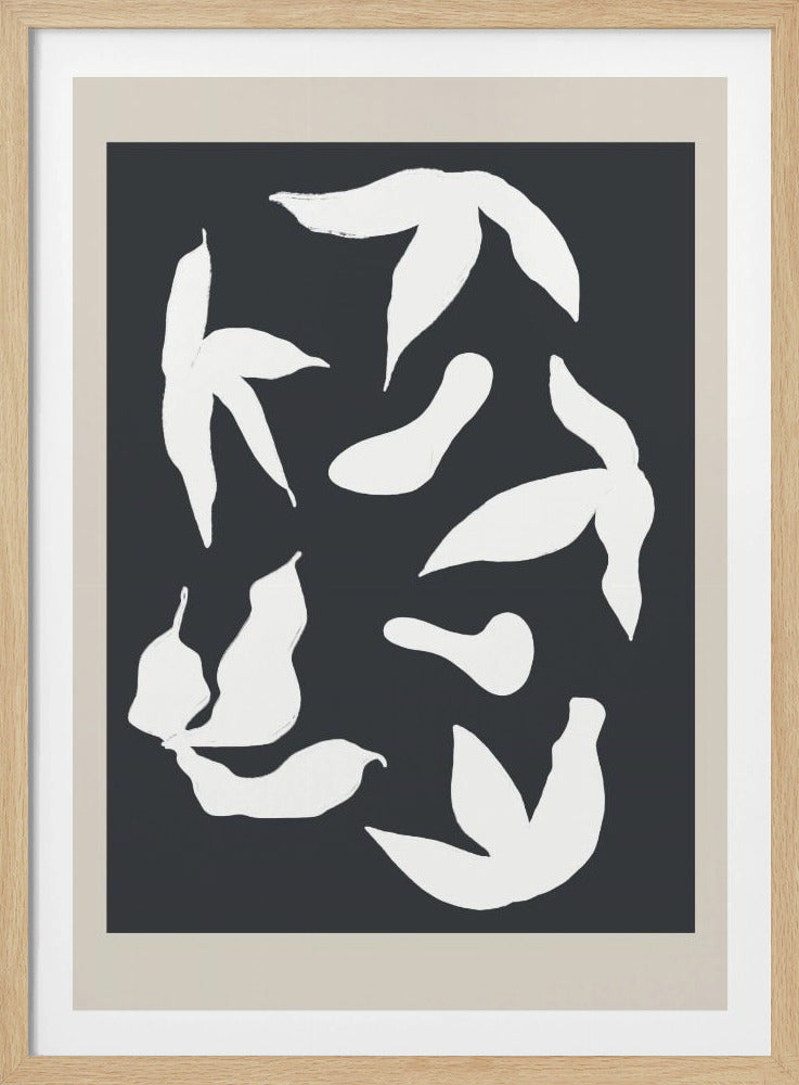 Scandilineno11 | Poster