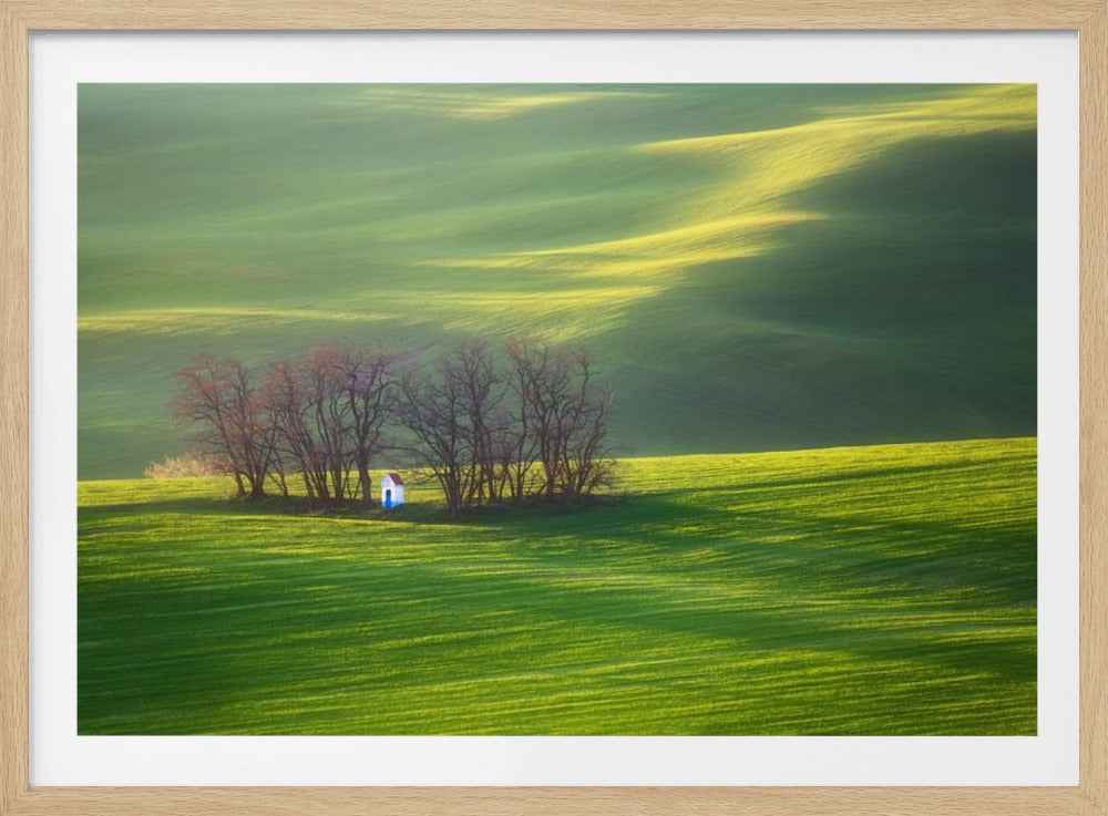 Champs. . . | Posters - Affiche Artistique