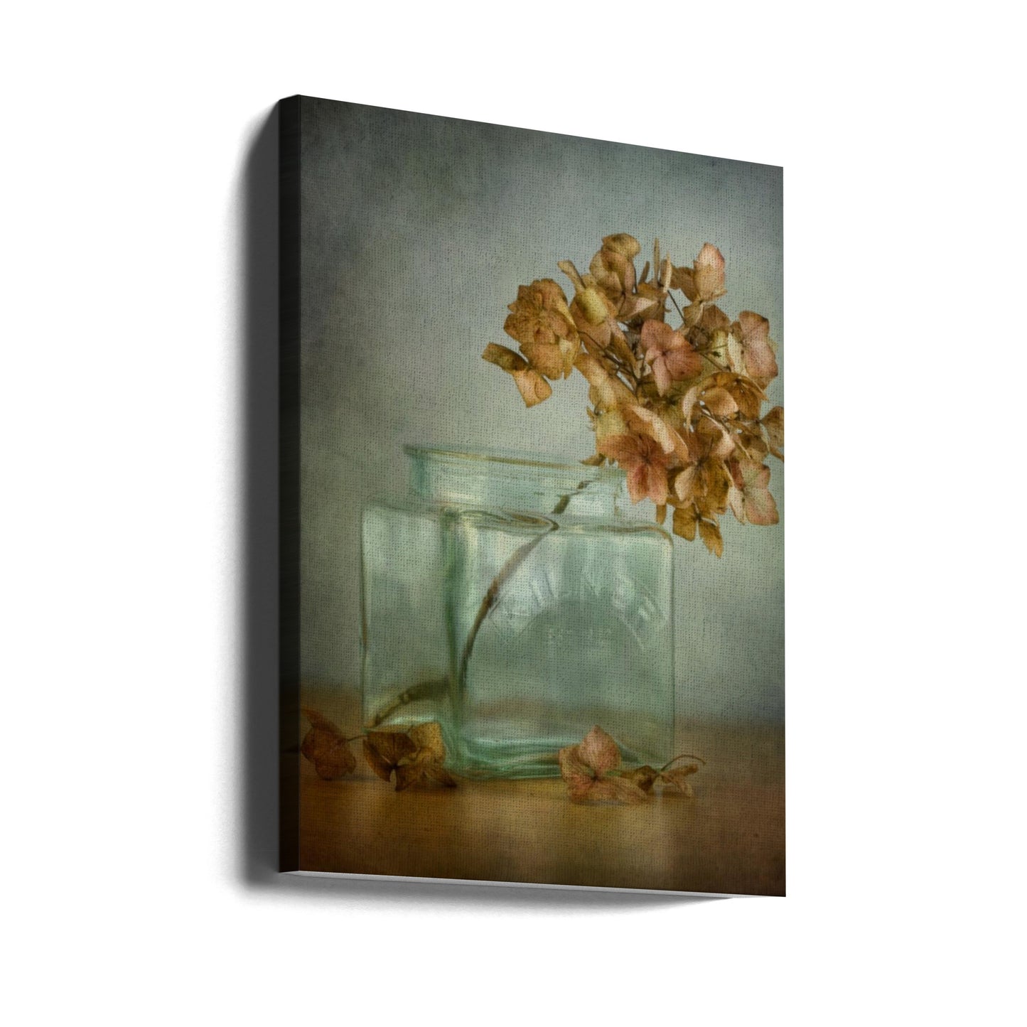 Hortensia | Canvas