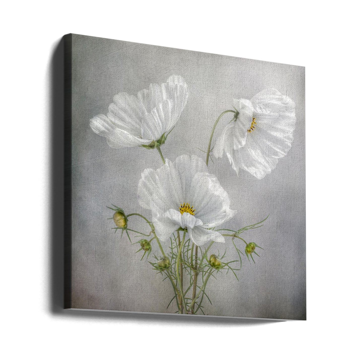 Ciondolo Cosmos | Stampe su Tela