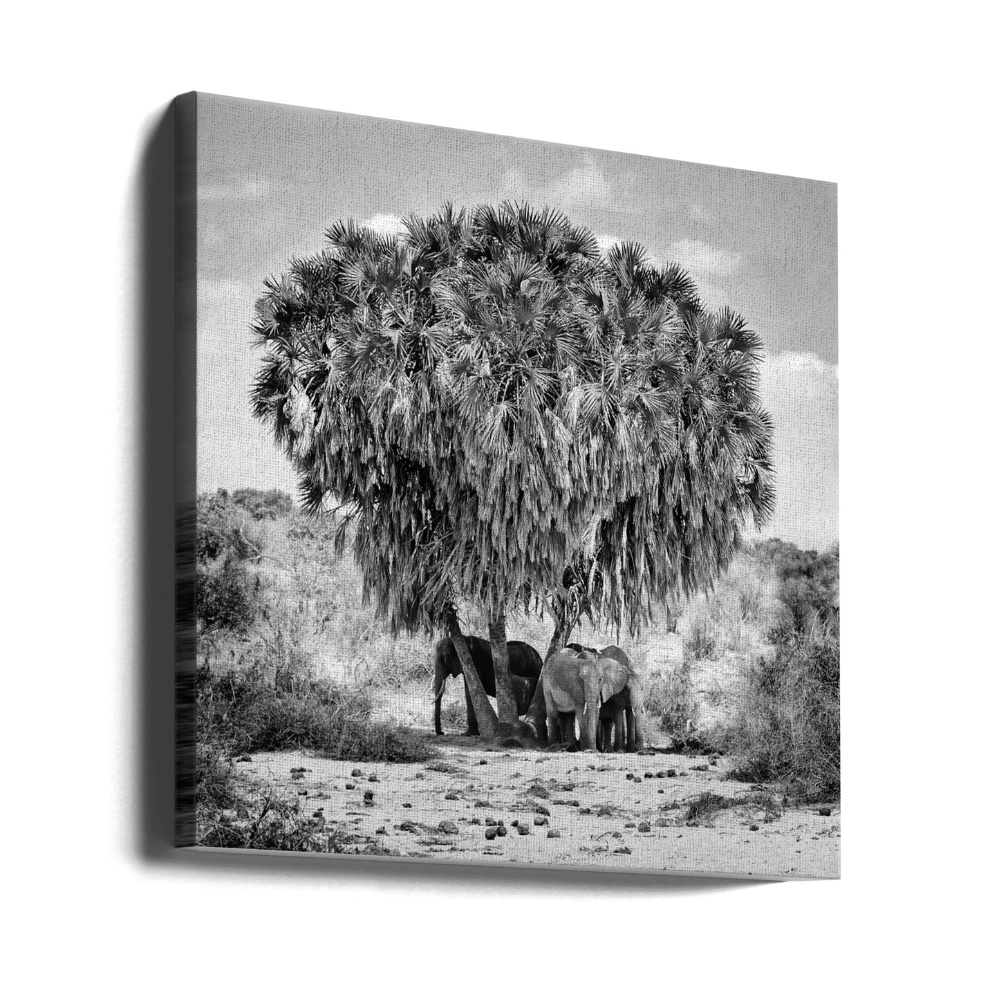 Réunion de midi | Tableaux sur Toile