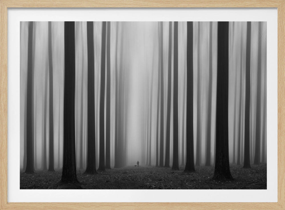 Labyrinthe | Affiche