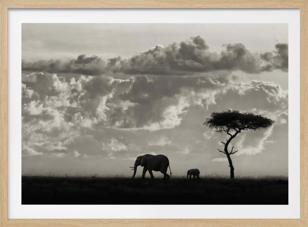 Silhouettes de Mara | Affiche