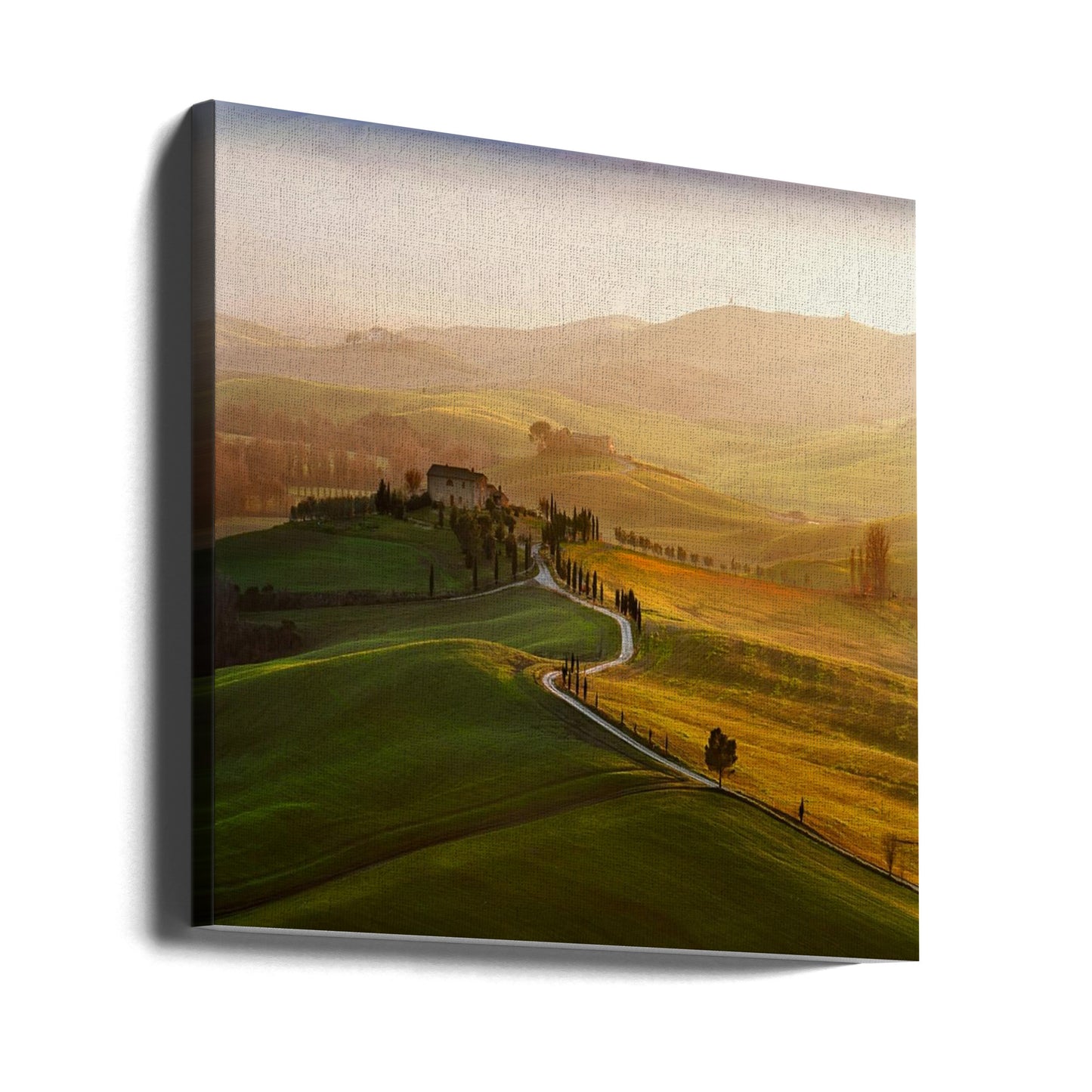 Val d'Orcia | Leinwand-Bilder
