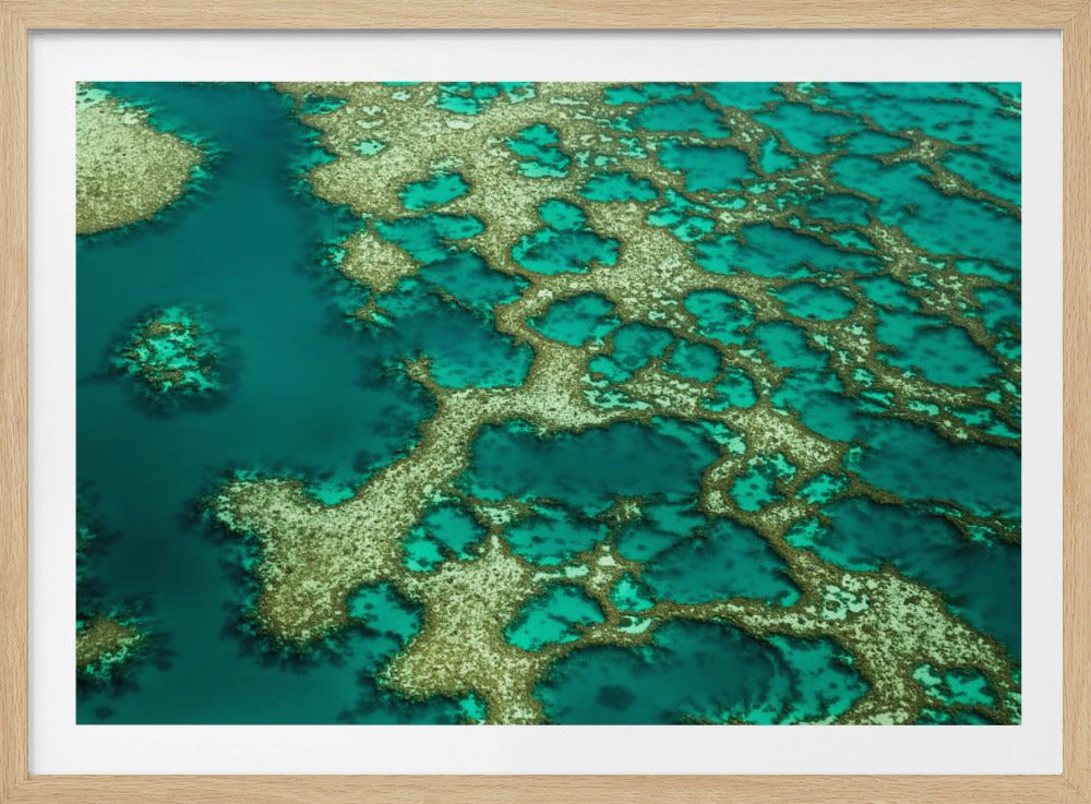 Gondwana | Poster - Stampe d’Arte