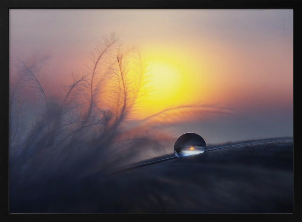 Matin | Posters - Affiche Artistique