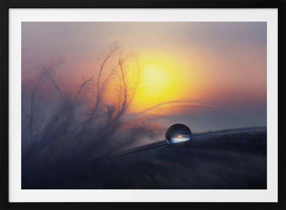 Matin | Posters - Affiche Artistique