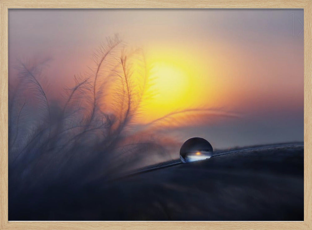 Matin | Posters - Affiche Artistique
