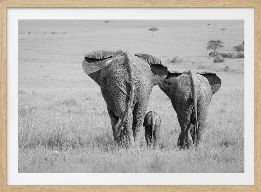 Trois fesses ! | Affiche