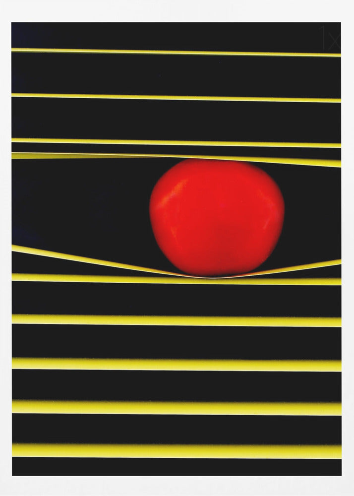 Lignes et cercles | Affiche