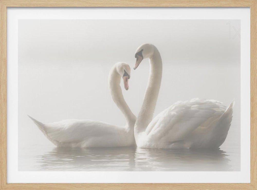 Pour toujours | Affiche