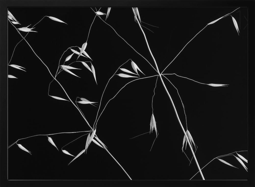 Linee incrociate | Poster - Stampe d’Arte