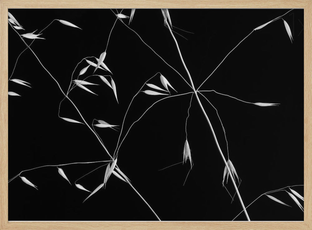 Linee incrociate | Poster - Stampe d’Arte