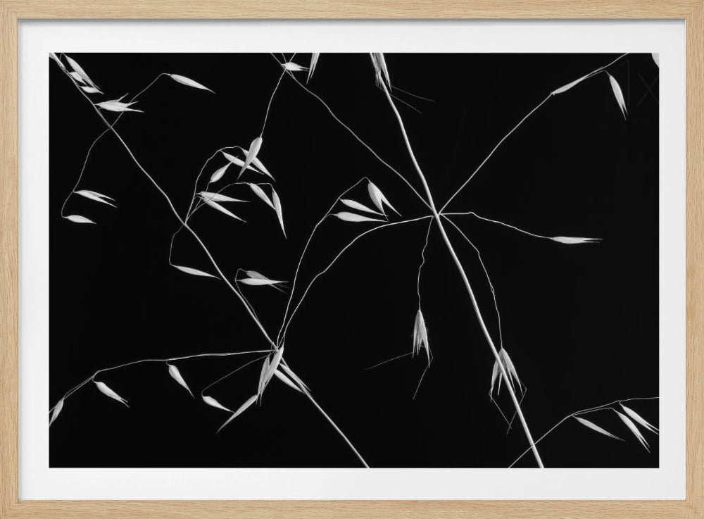 Linee incrociate | Poster - Stampe d’Arte