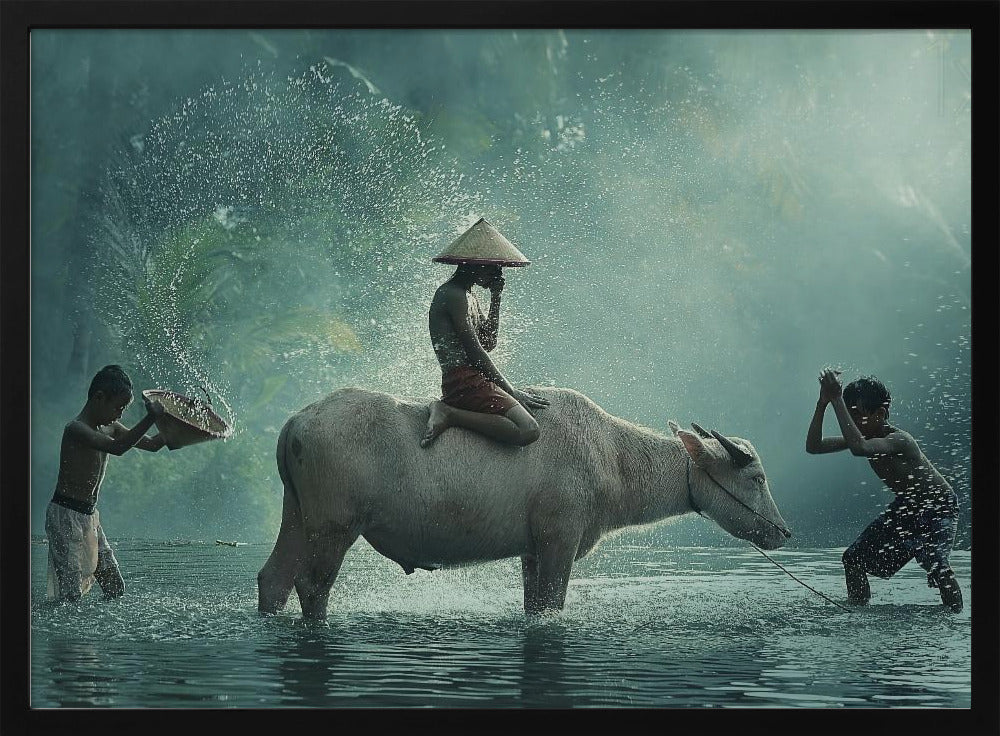 Bufalo d'acqua | Poster - Stampe d’Arte