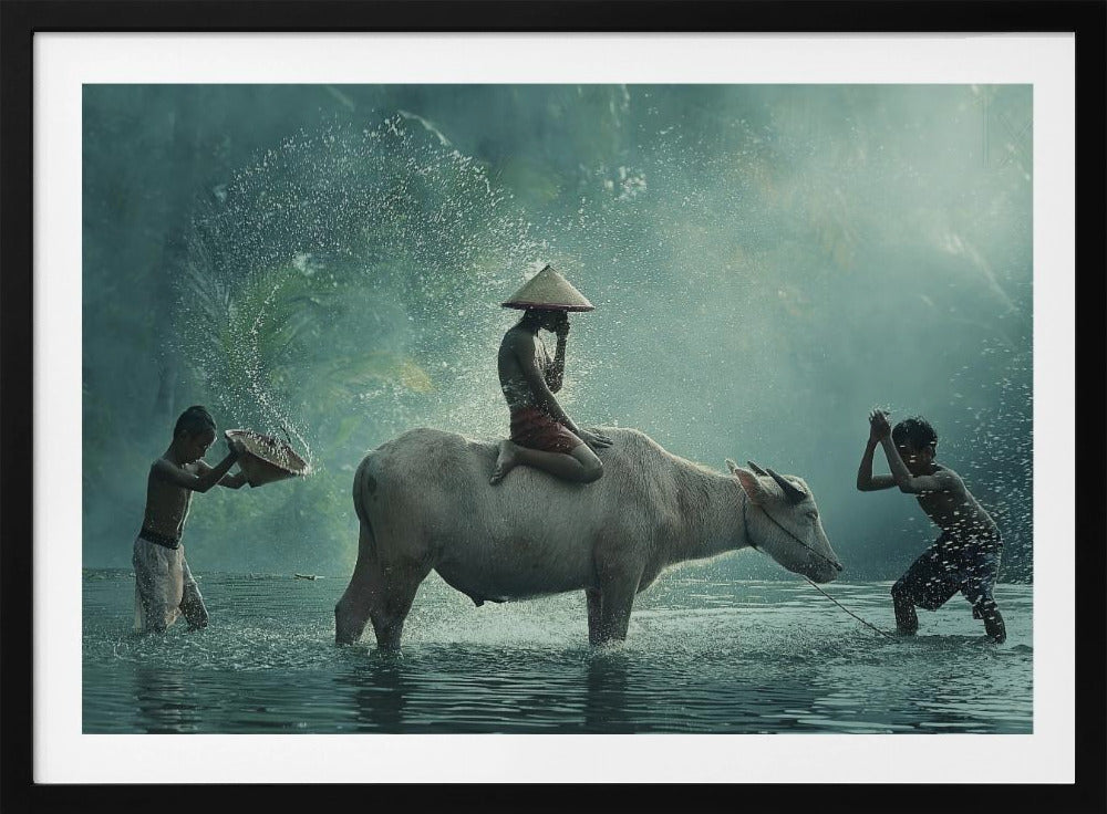 Bufalo d'acqua | Poster - Stampe d’Arte