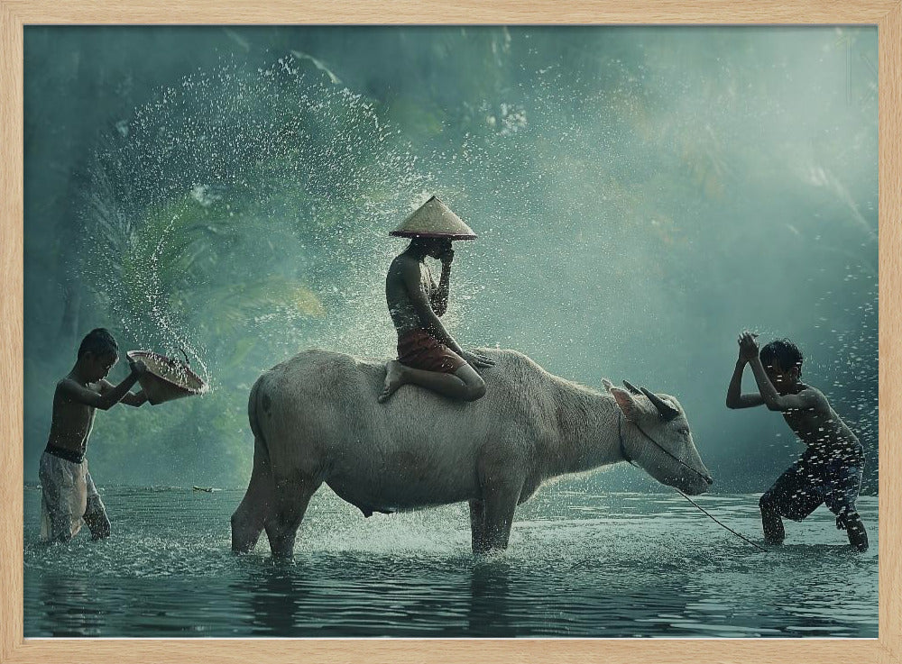 Bufalo d'acqua | Poster - Stampe d’Arte