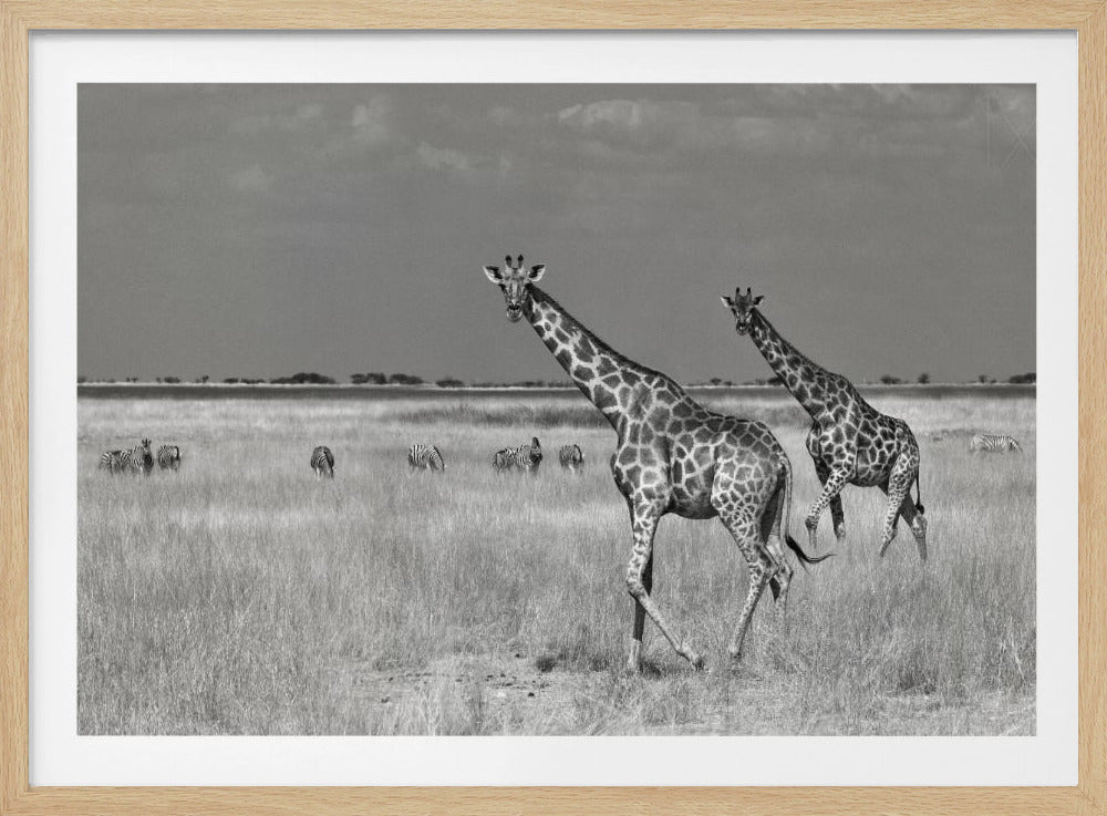 Dépenses touristiques | Affiche