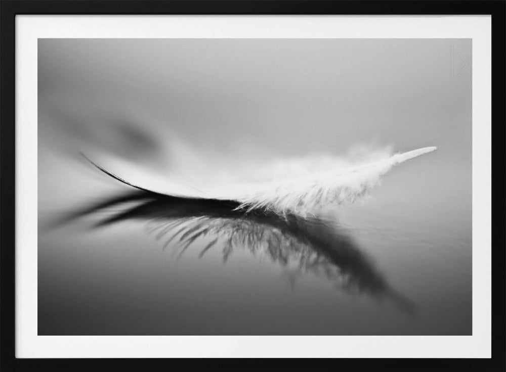 Bianco | Poster - Stampe d’Arte