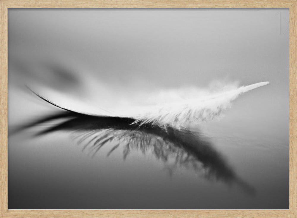 Bianco | Poster - Stampe d’Arte