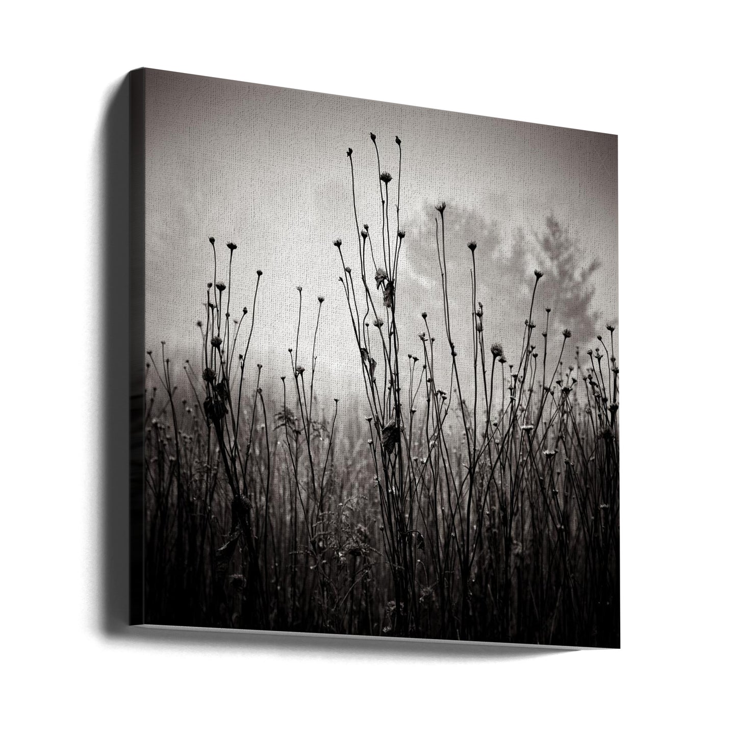 Ängsväxter 1 | Canvas