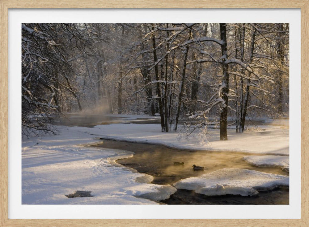 La première lumière | Affiche