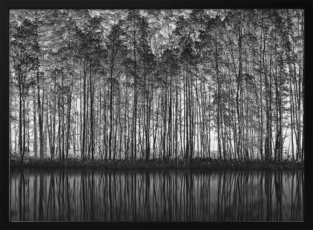 Puntinismo Natura | Poster - Stampe d’Arte