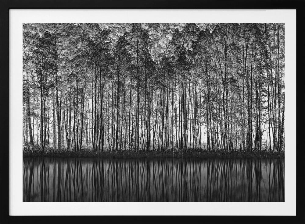 Puntinismo Natura | Poster - Stampe d’Arte