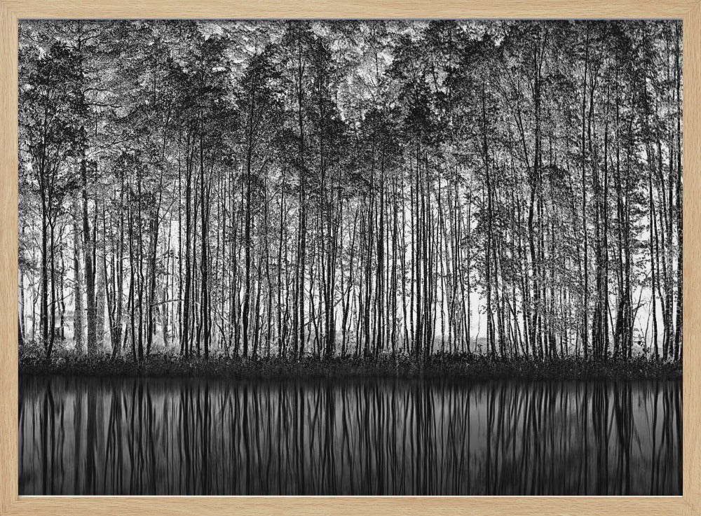 Puntinismo Natura | Poster - Stampe d’Arte