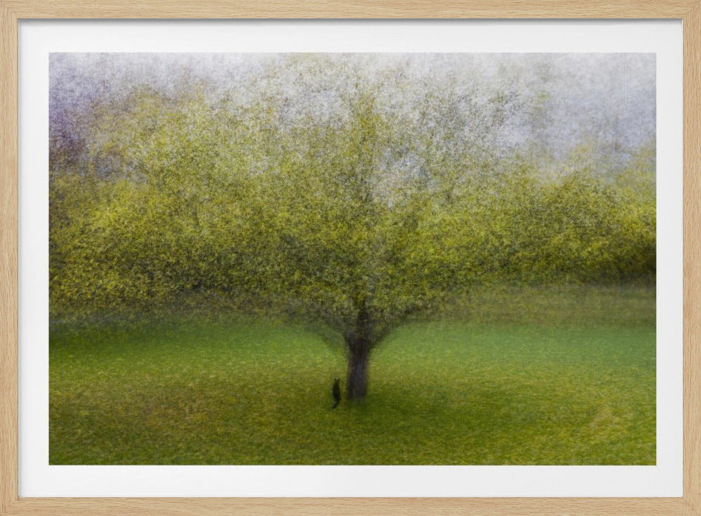 Le Chat près de l'Arbre | Affiche