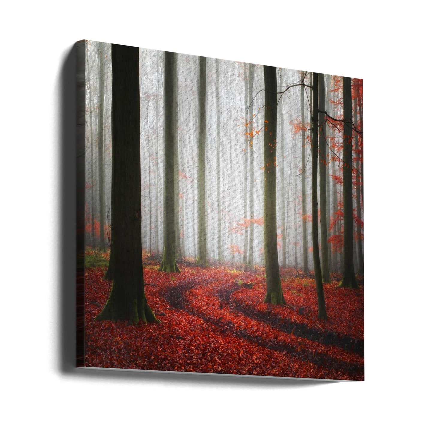 Herbstliche Spuren | Leinwand-Bilder