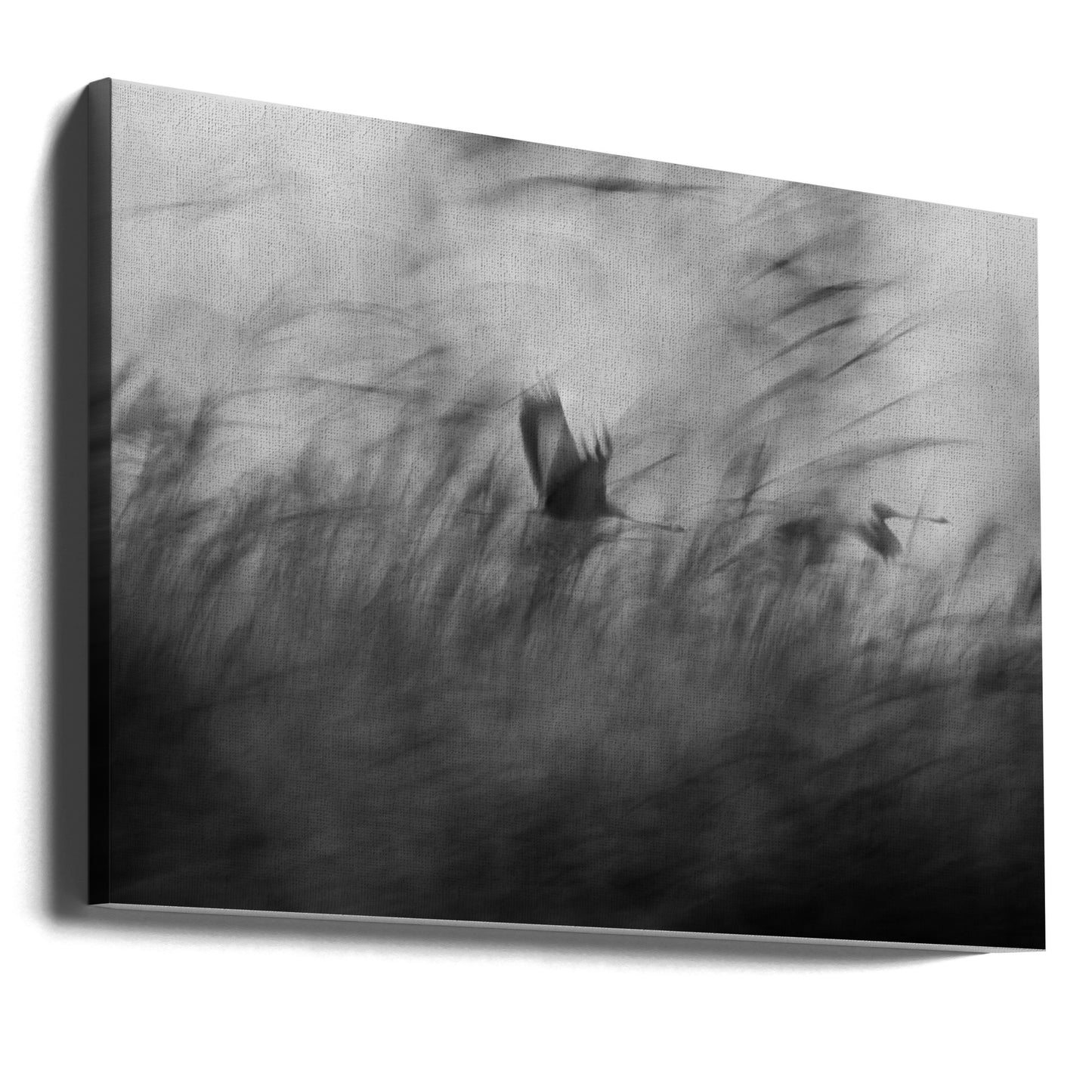 Out of the Blue | Canvas