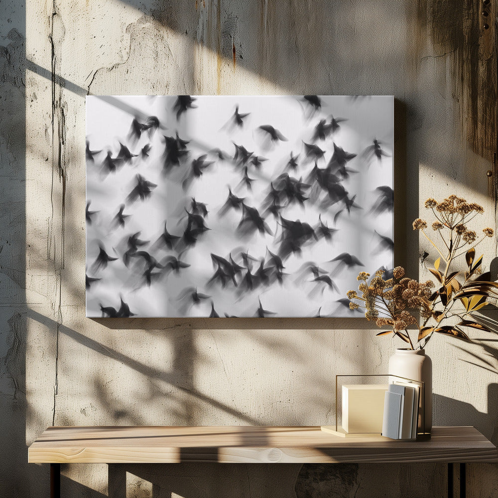 Birds | Canvas