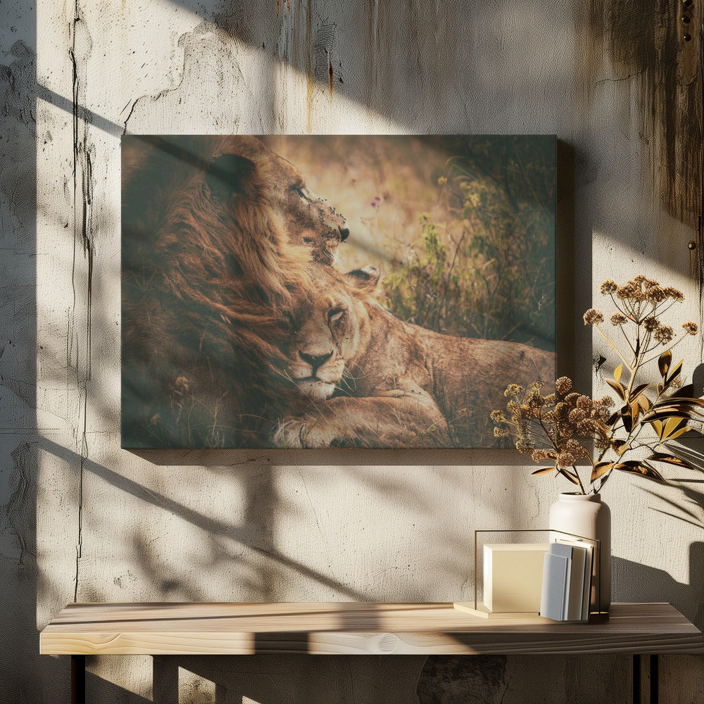 Vi "flyger" tillsammans | Canvas