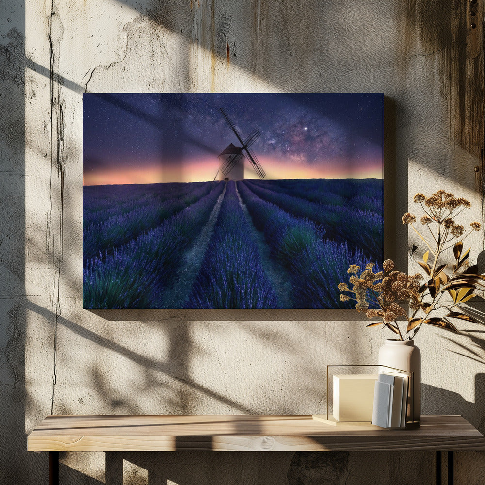Lavender night | Canvas