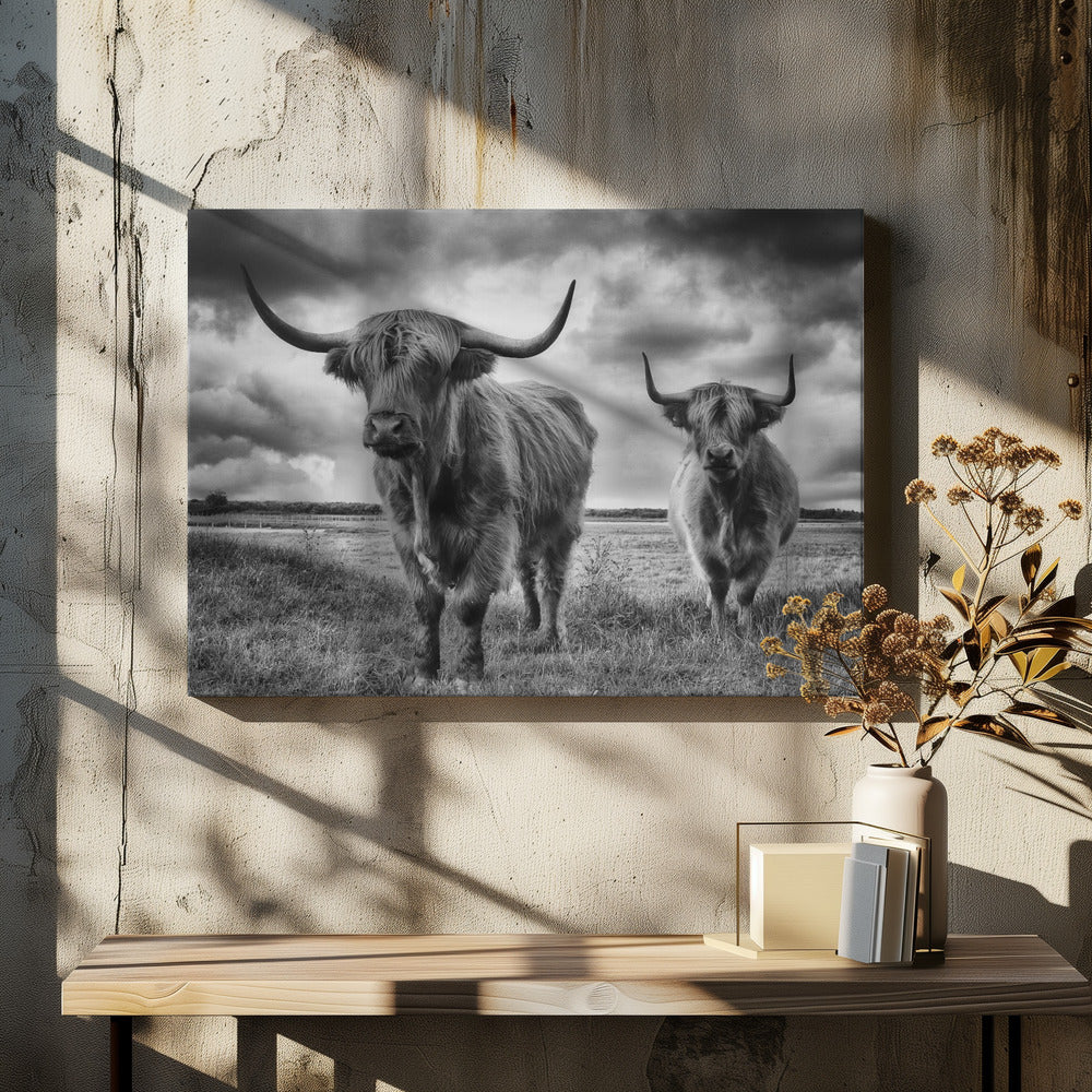 Höglandet | Canvas