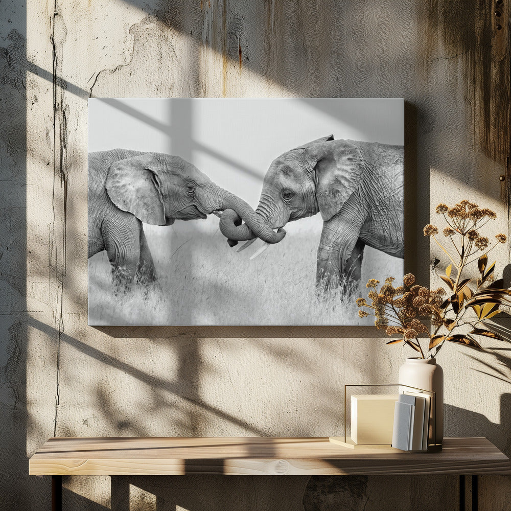 Konfrontation | Leinwand-Bilder