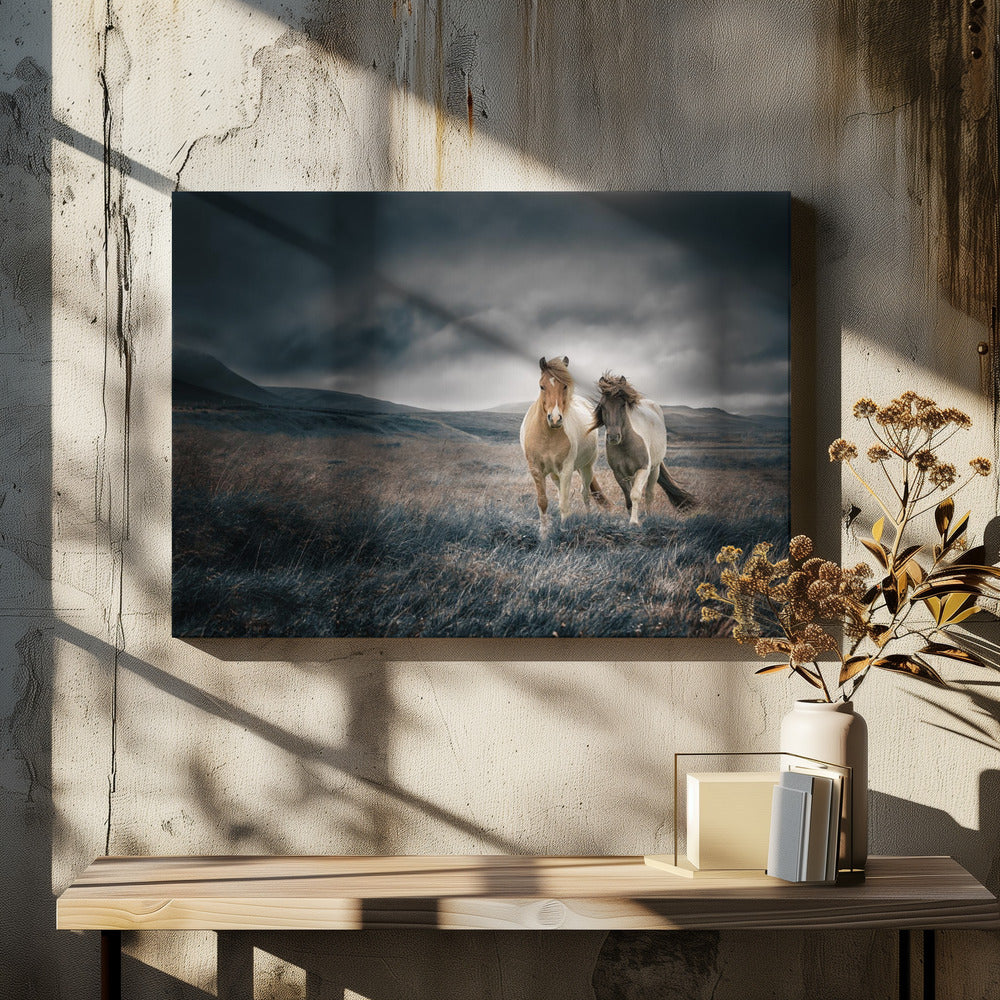 Bröderna | Canvas