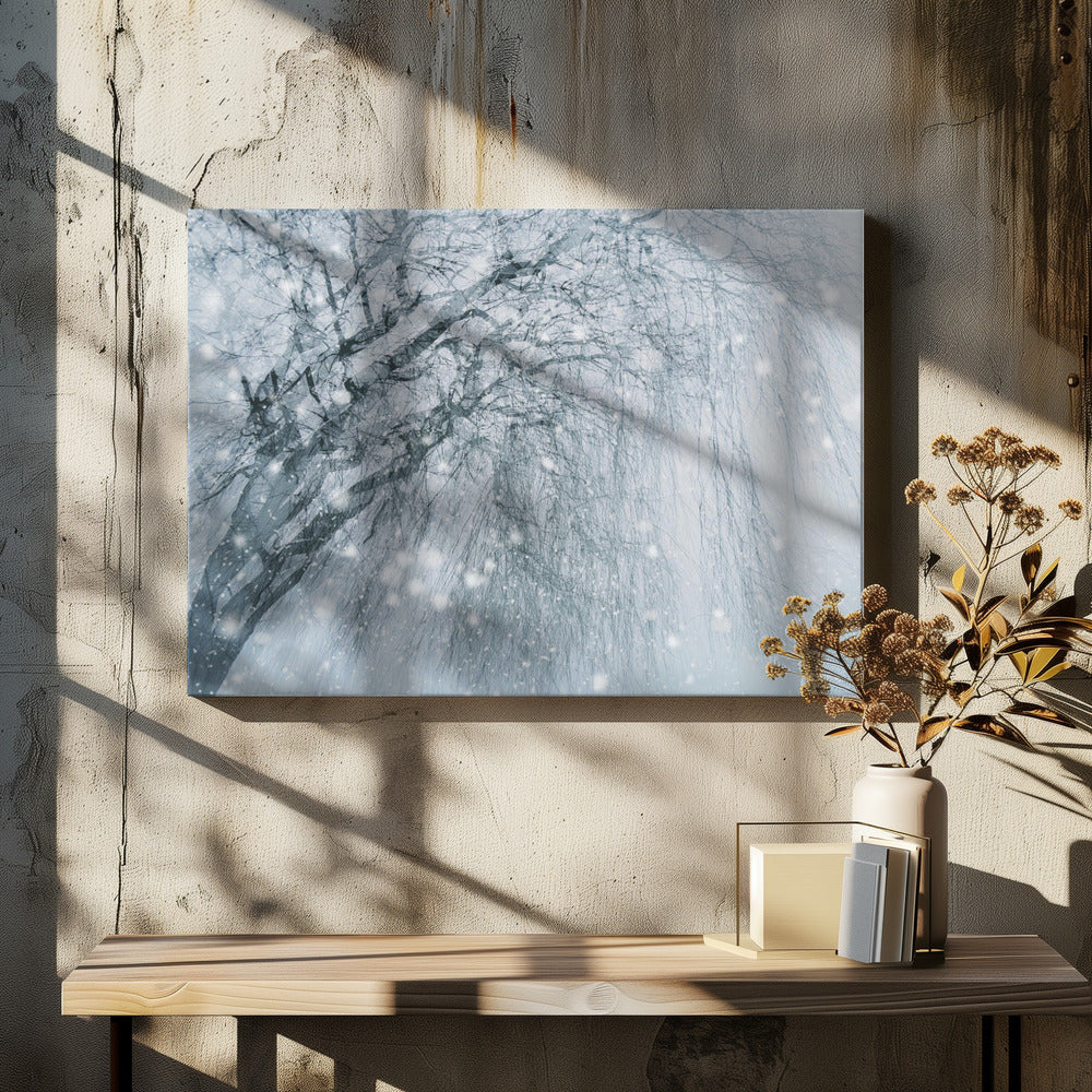 Winterbaum | Leinwand-Bilder