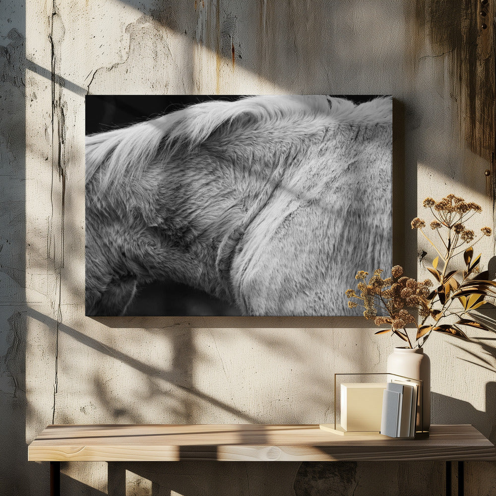 Häst II | Canvas