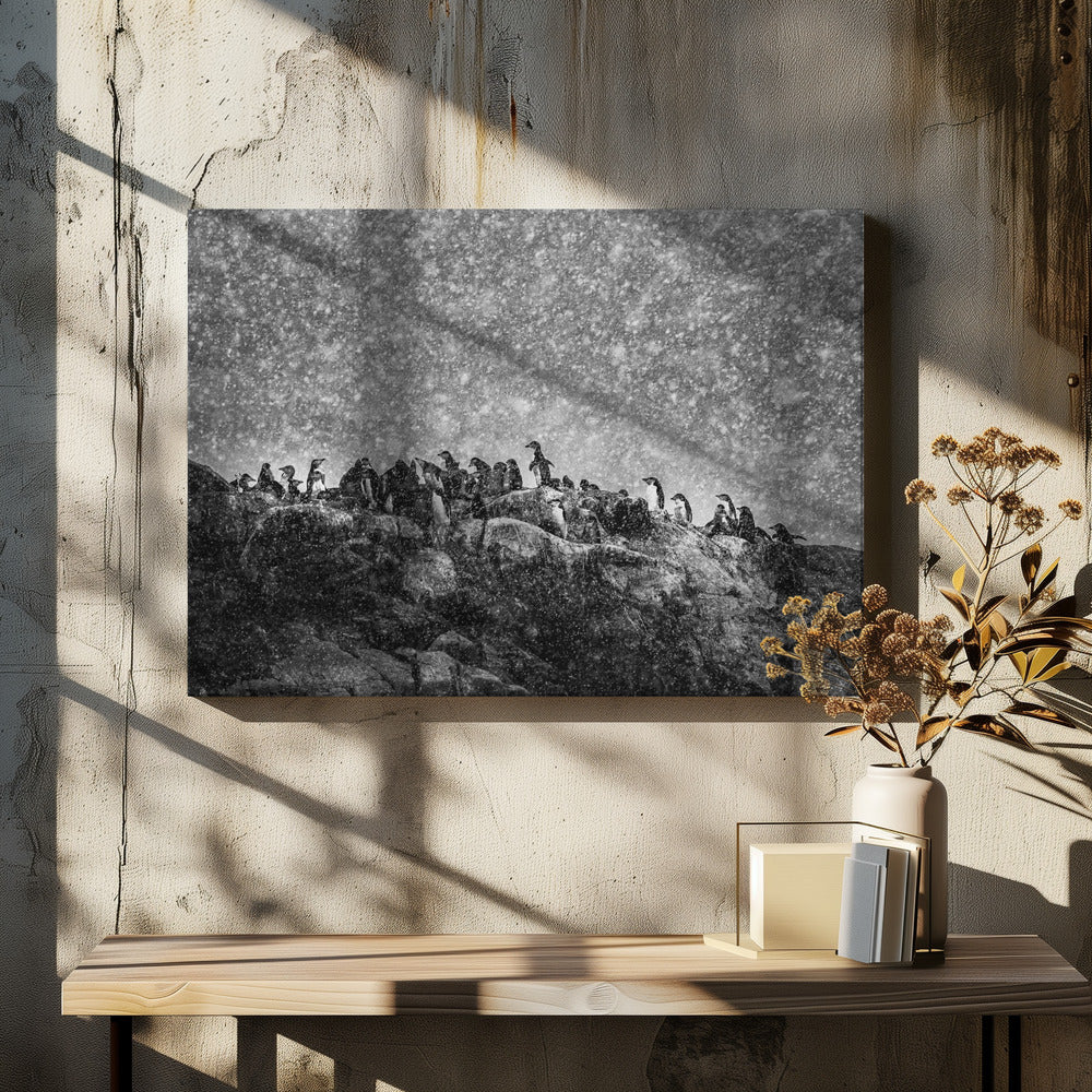 Tempête antarctique | Tableaux sur Toile