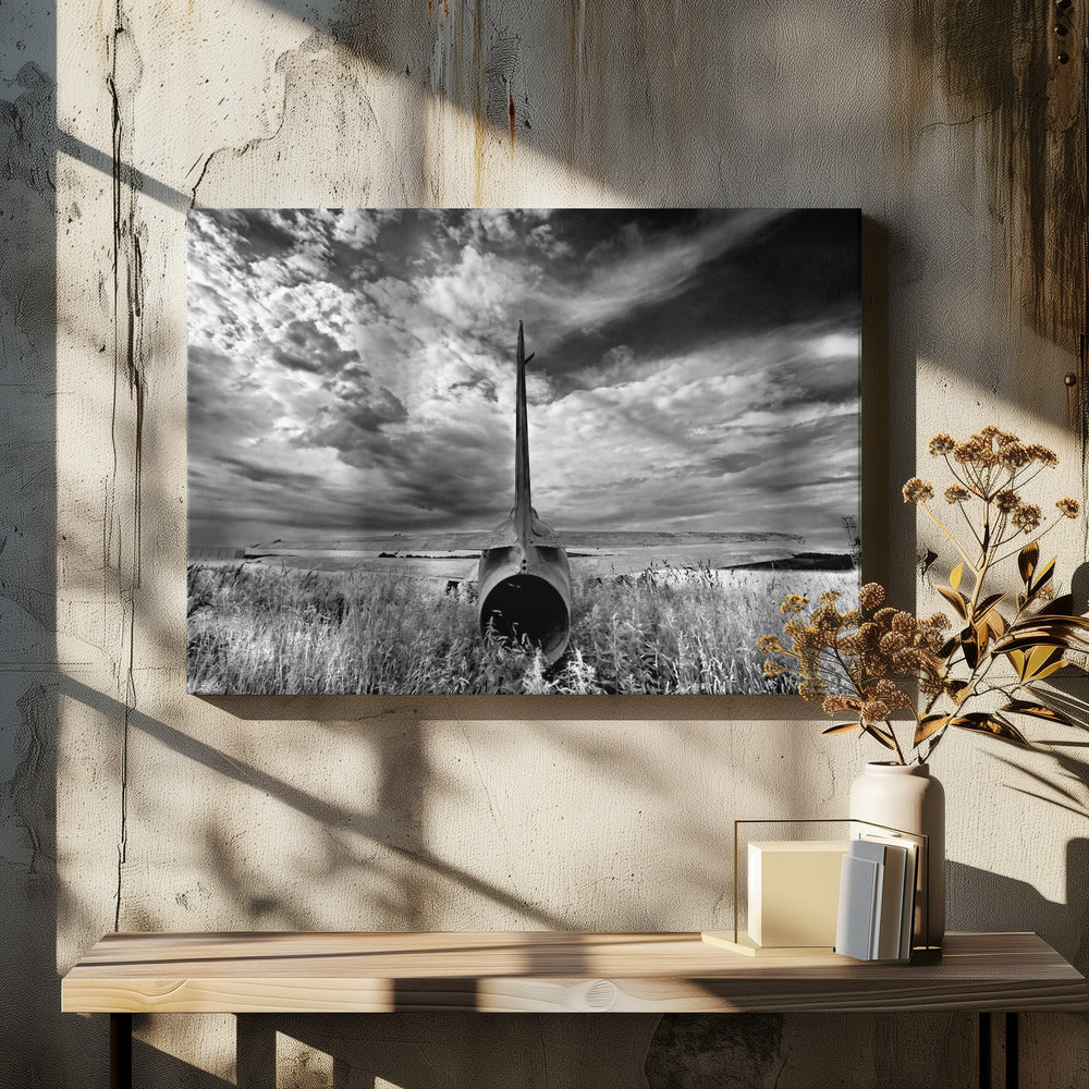 Svans | Canvas