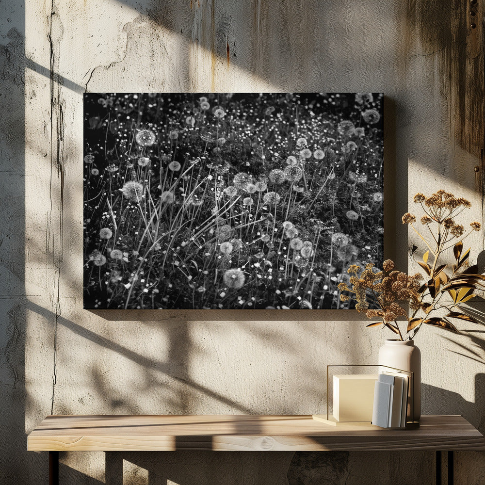 Maskrosfältet | Canvas