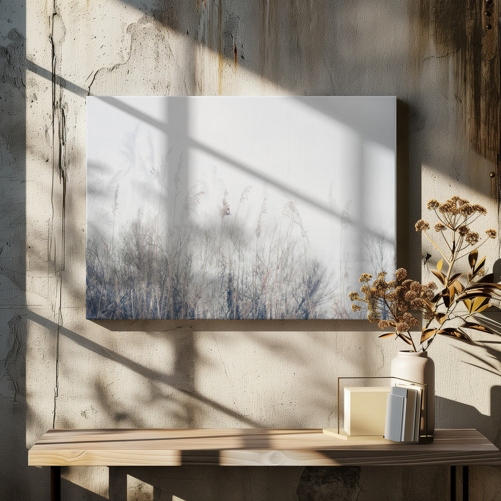 Landskap av vass och gräs | Canvas