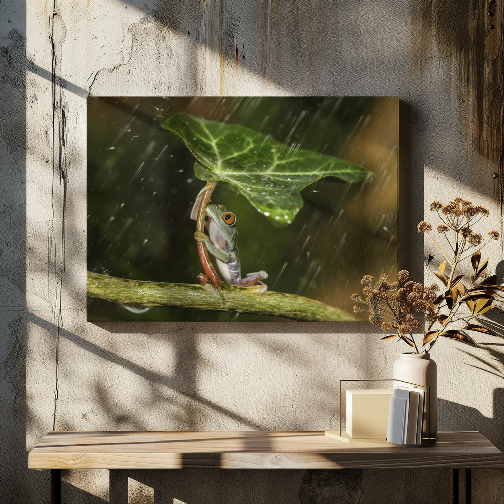 Ohh Noo :( It's Raining | Canvas