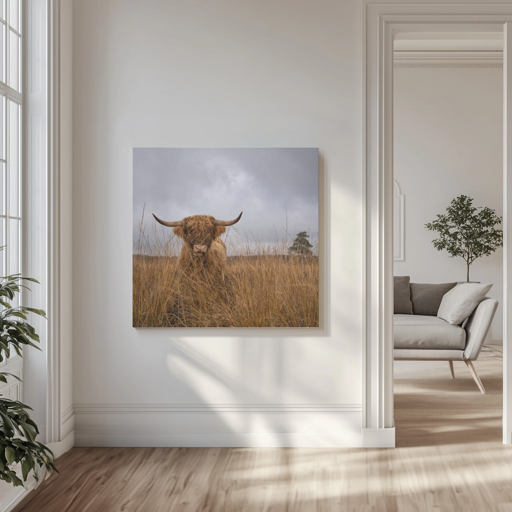 Ich war es nicht | Leinwand-Bilder