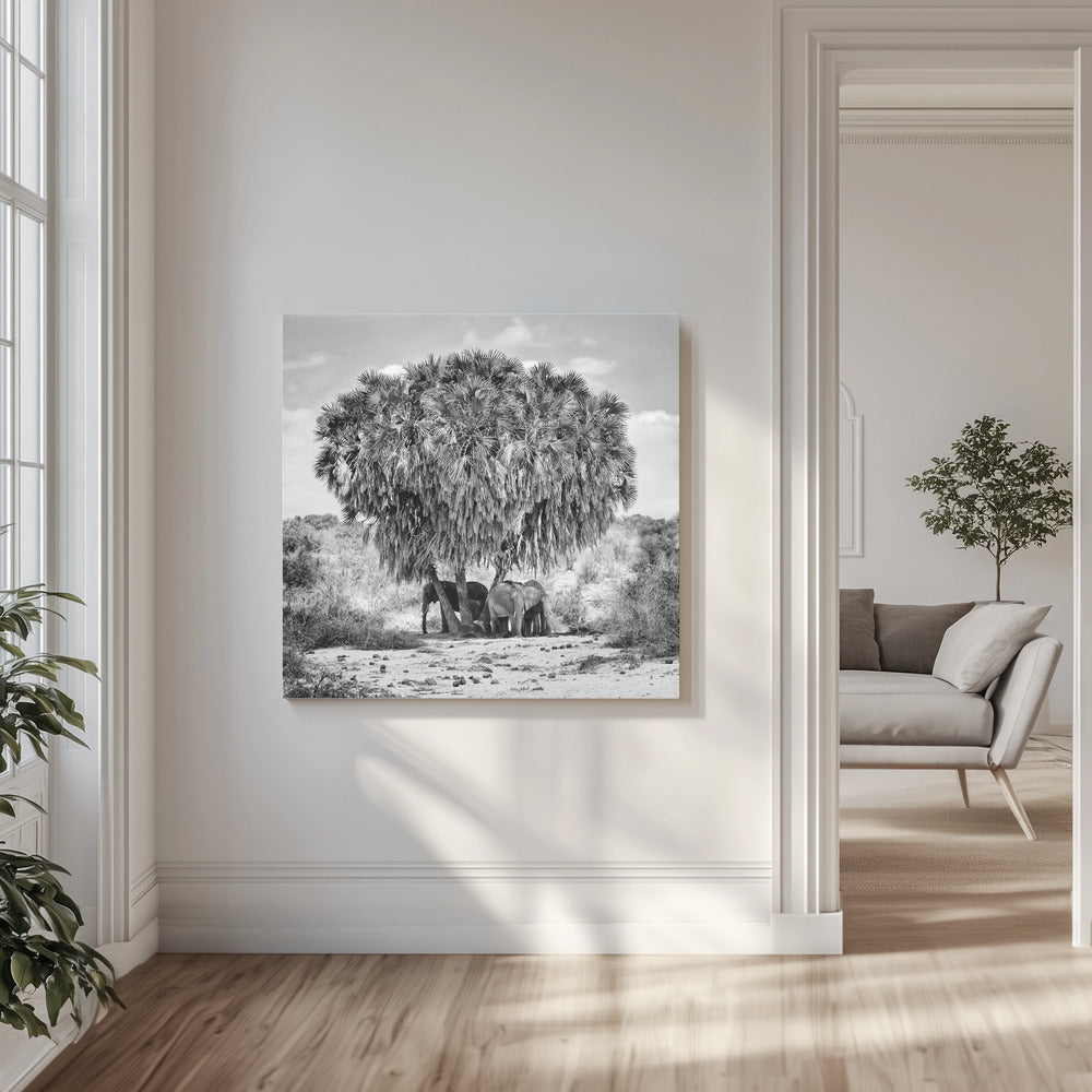 Réunion de midi | Tableaux sur Toile