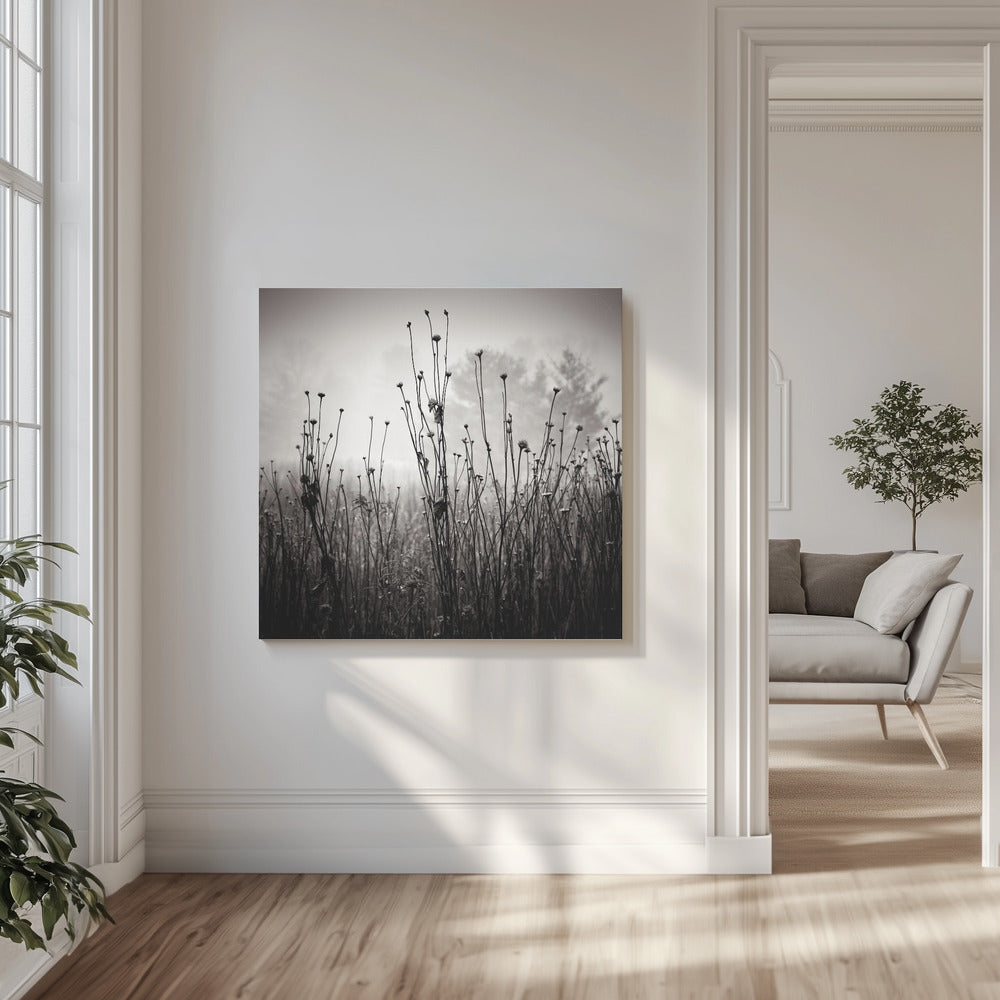 Ängsväxter 1 | Canvas