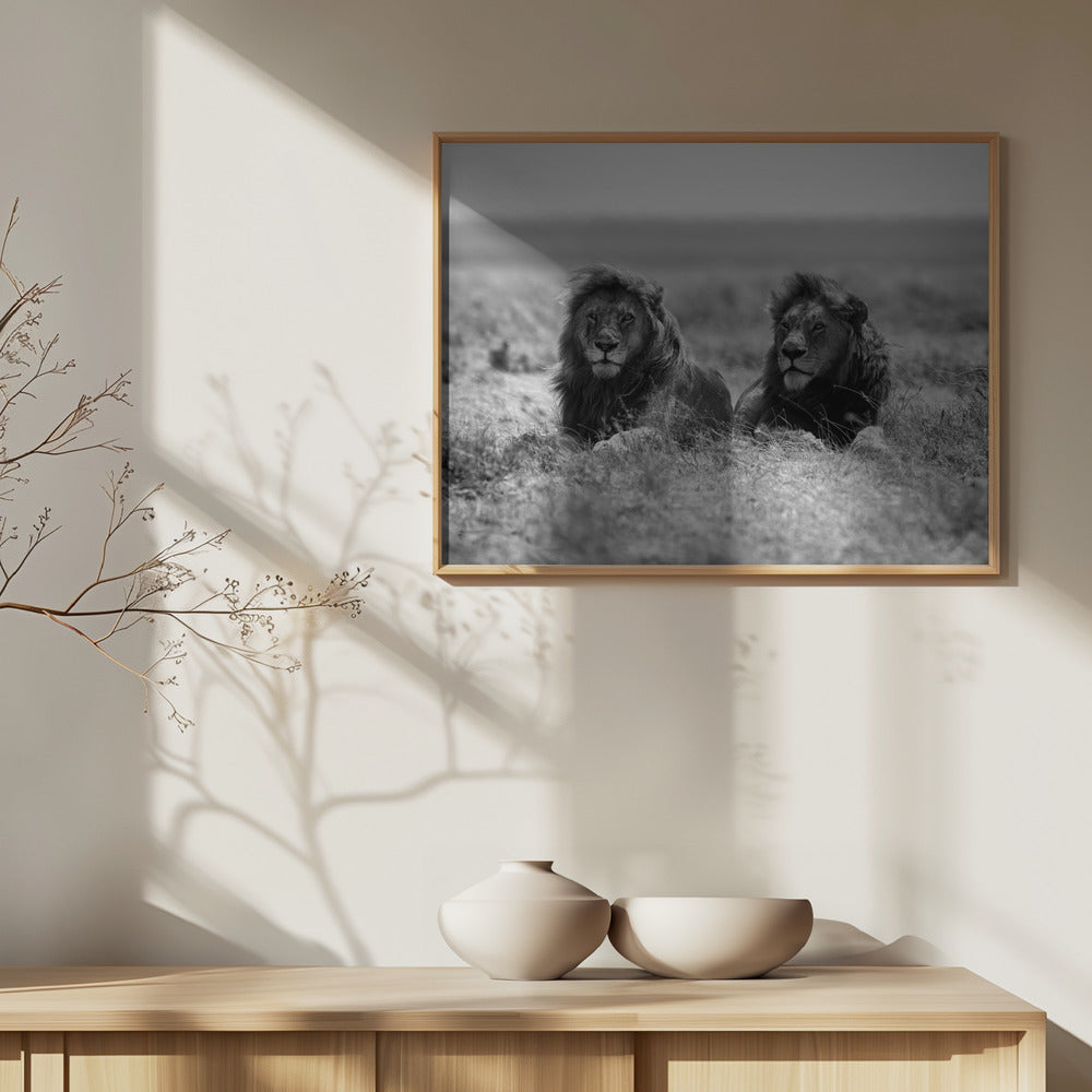 Zwei Könige | Poster - Kunstdruck